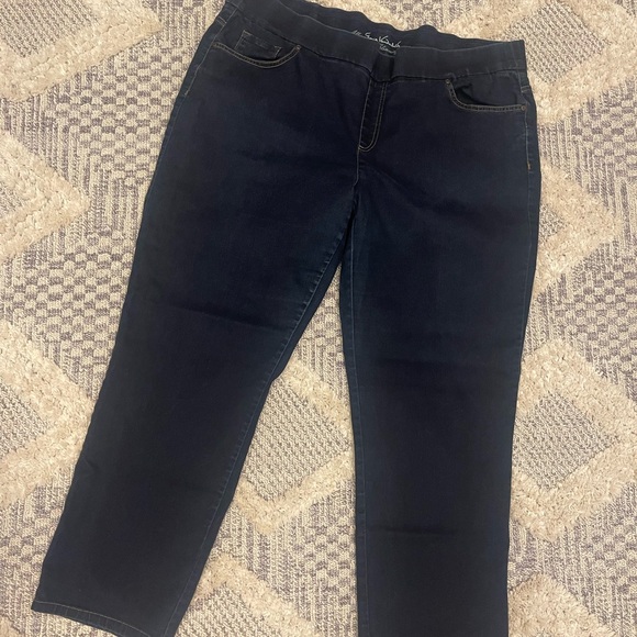Gloria Vanderbilt Denim - Gloria Vanderbilt All-Around Slimming Effect Dark Denim Jeans 20W Bootcut